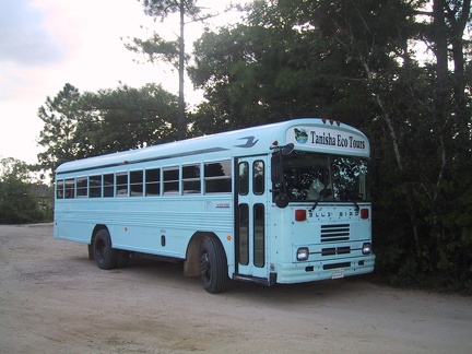 Tanisha Bus